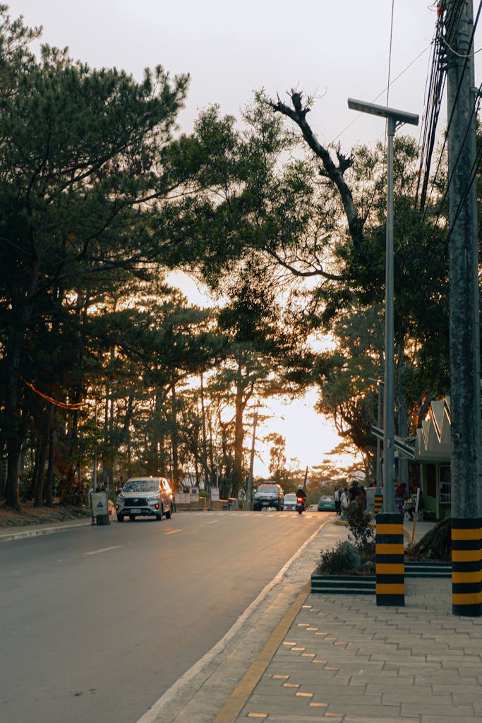 A serene street in Baguio City, Philippines, featuring sunset light filtering through trees.