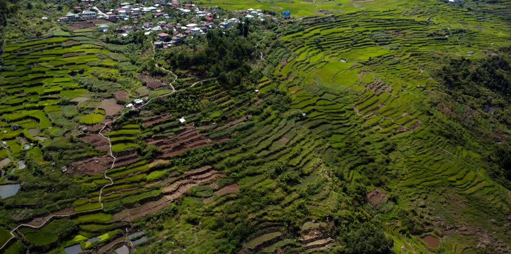 Stunning aerial shot of terraced rice fields in Sagada, showcasing traditional agriculture and natural beauty. Dream Destination: Sagada
