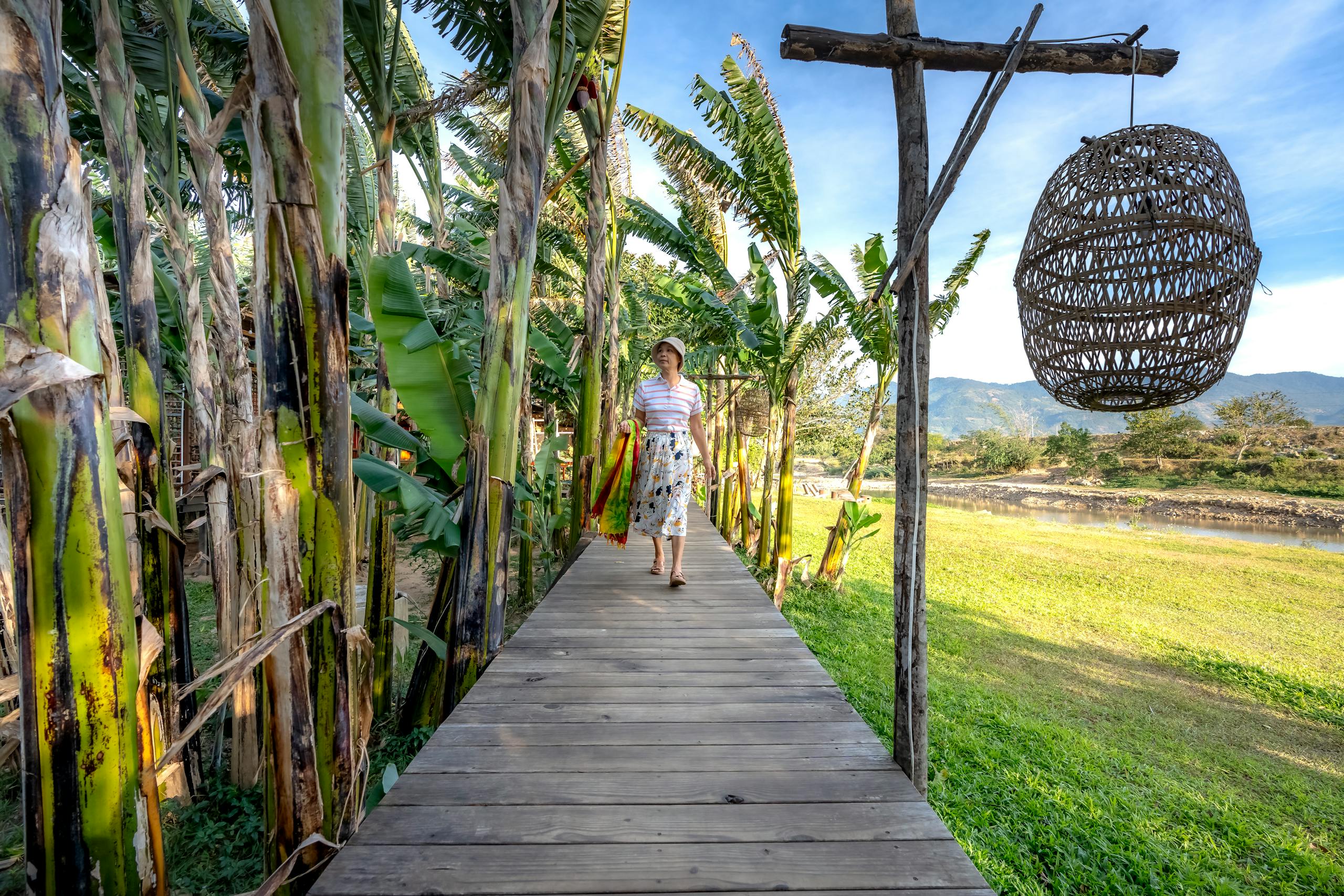 A woman walks on a wooden path surrounded by banana trees on a sunny day.