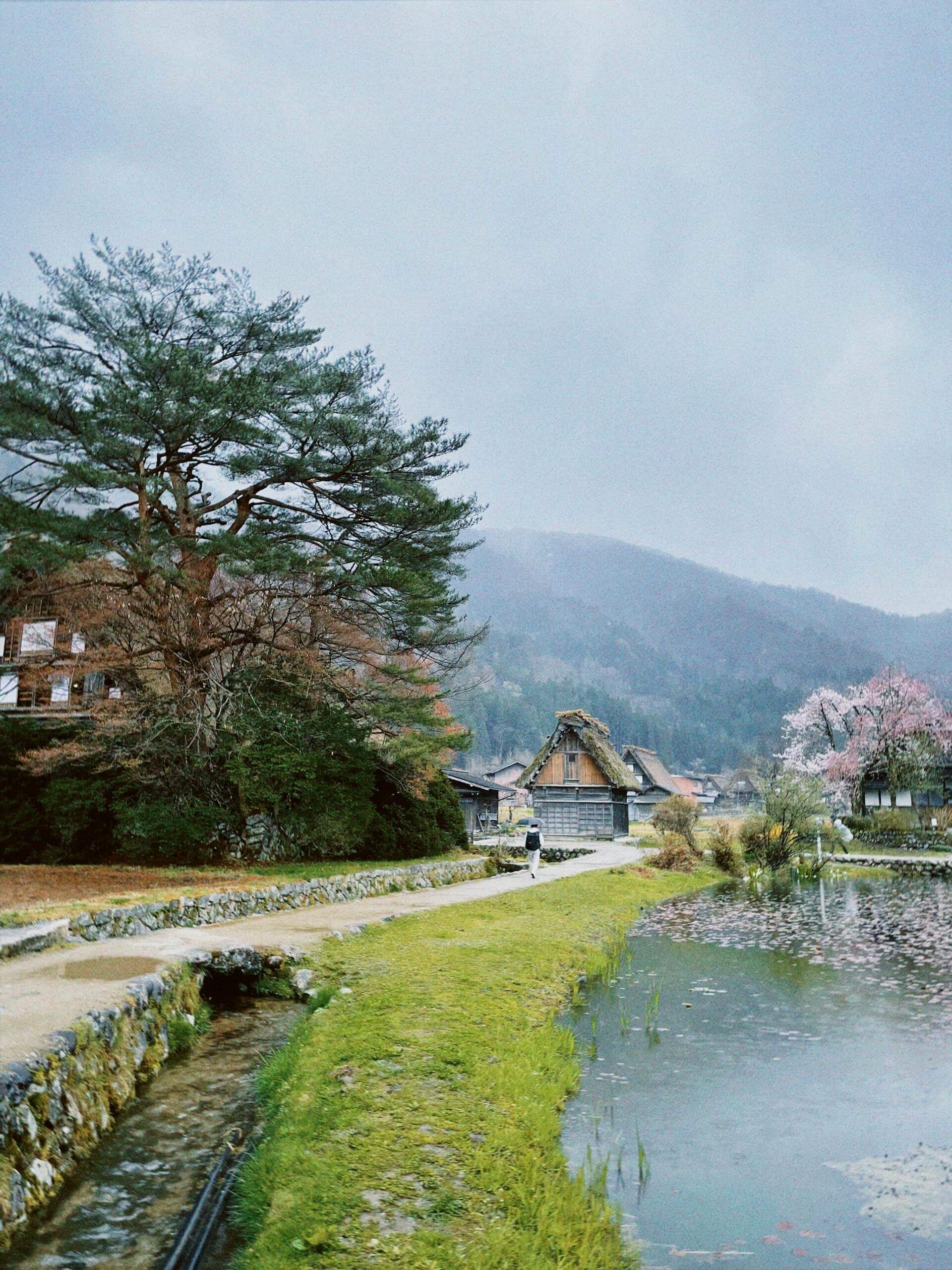 Scenic view of a tranquil Japanese village with traditional homes and serene landscape.