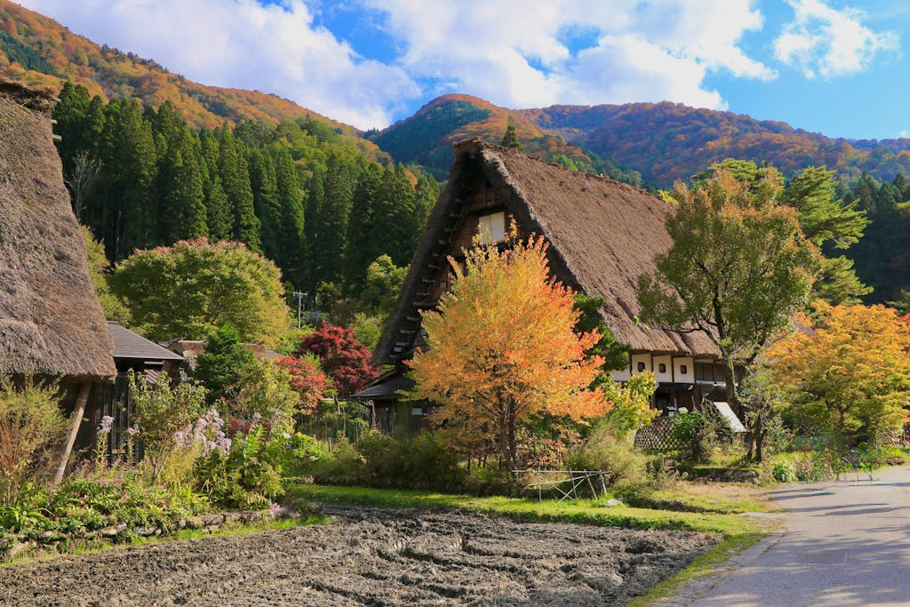 Scenic view of traditional gassho-style houses in Shirakawa-go, a UNESCO World Heritage site. Gokayama Japan tour