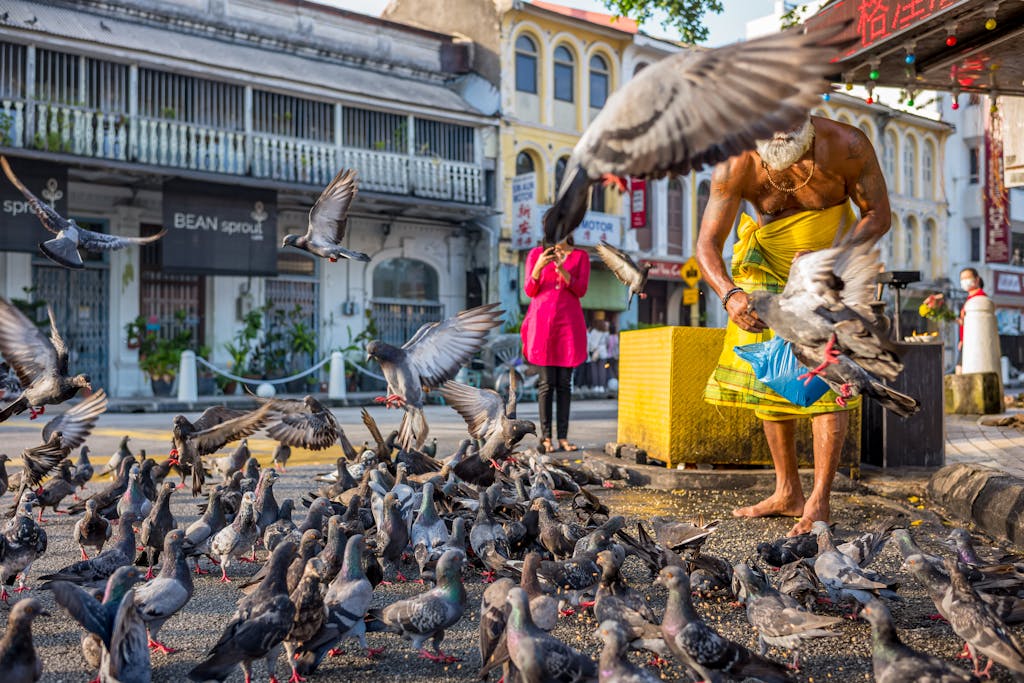 A man in traditional attire feeds pigeons on a sunny street in George Town, Penang.