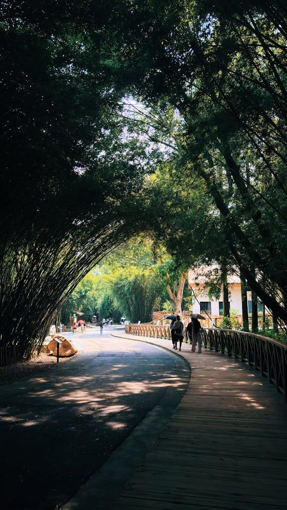 A serene bamboo-lined path in Chengdu, offering a peaceful walking experience in lush surroundings. Chengdu China tour