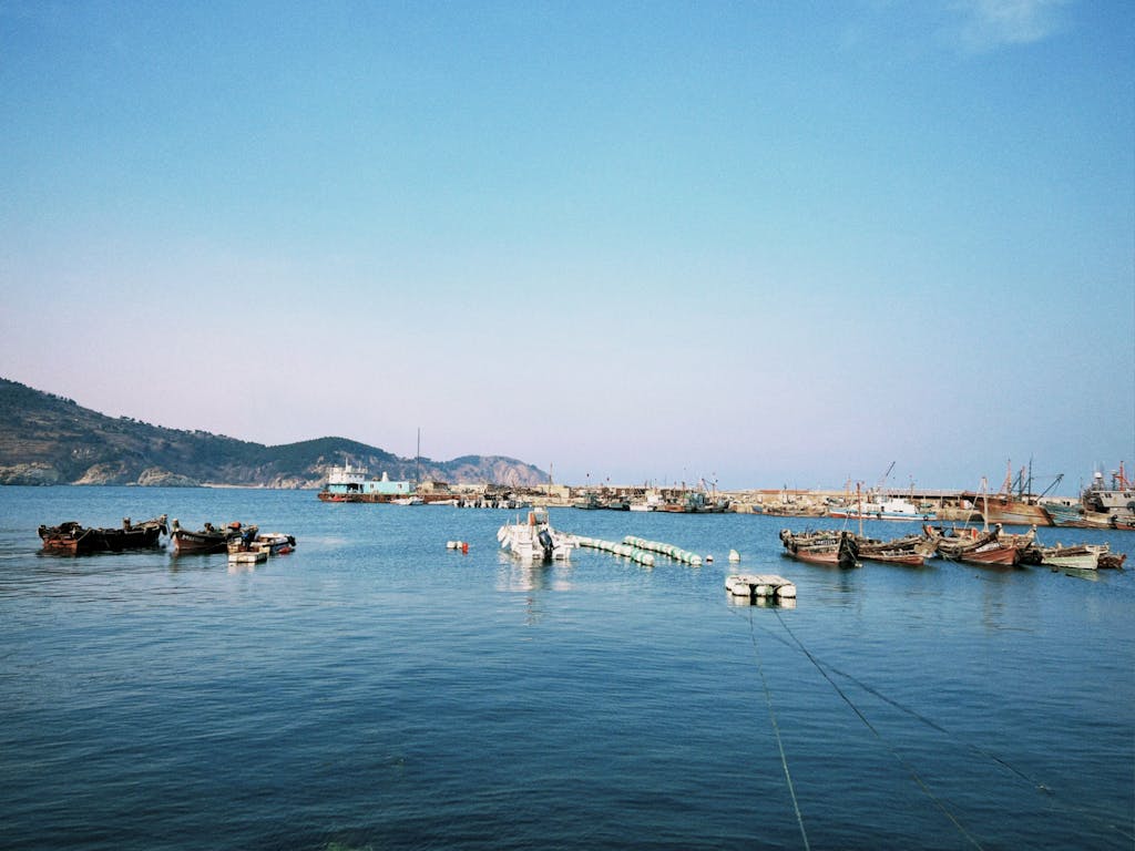 Tranquil harbor scene with moored boats and distant mountains under a clear blue sky.